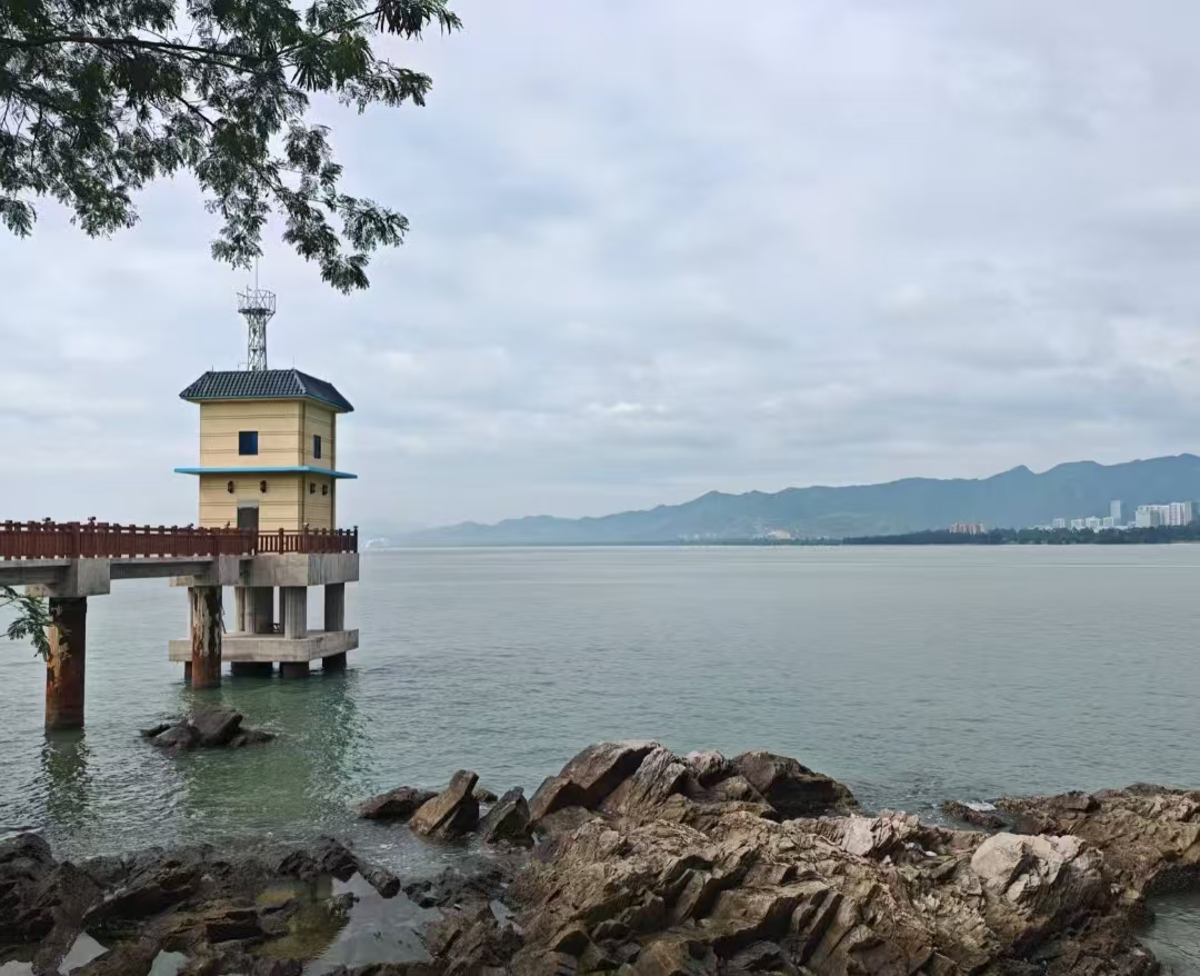 夏季必备